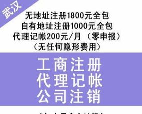 汉口专业财税服务 财务代理、内账外账管理、一般纳税人申请、清理旧账与代办贷款申报一站式解决方案